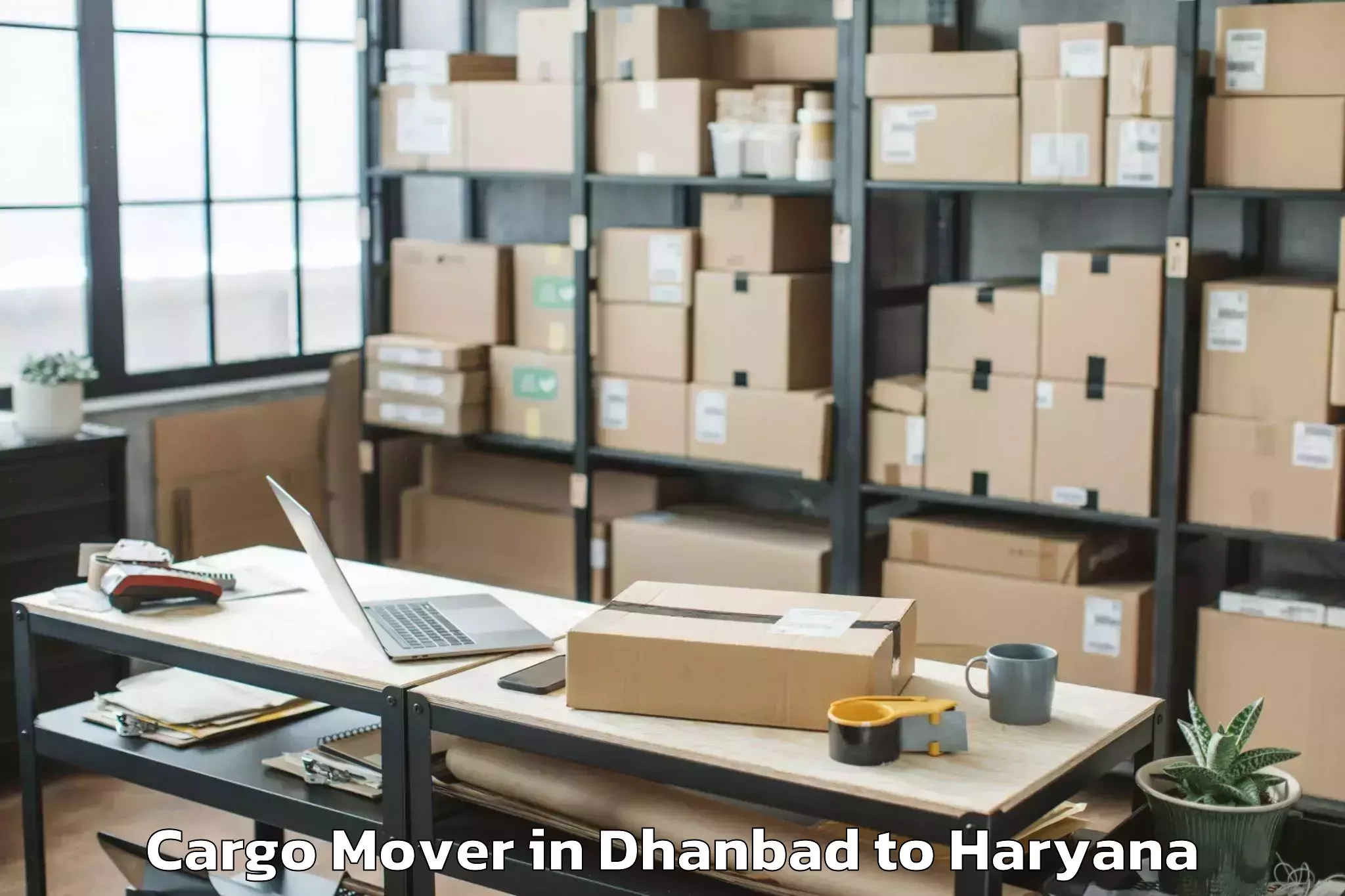 Easy Dhanbad to Mahendragarh Cargo Mover Booking